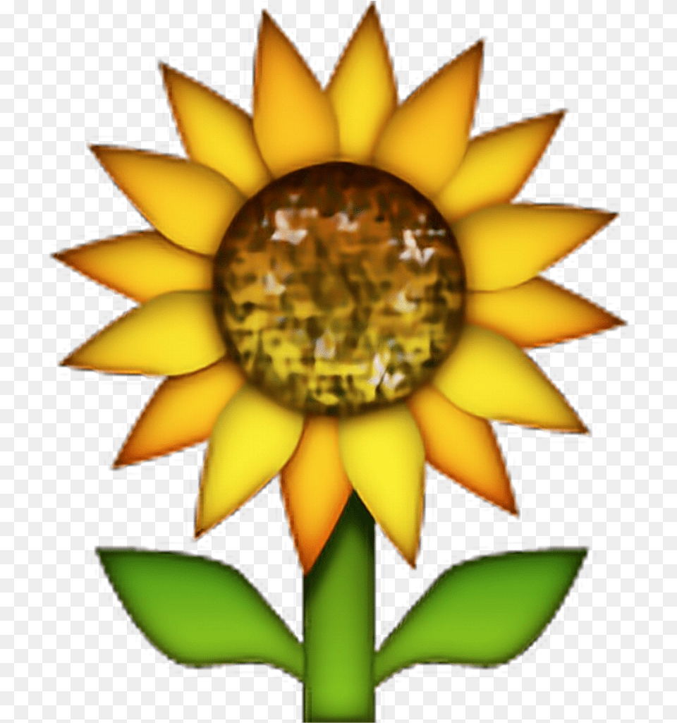 Sunflower Emoji Flowers Freetoedit Sunflower Emoji, Flower, Plant, Rose Free Transparent Png