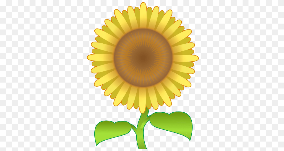 Sunflower Emoji For Facebook Email Sms Id, Flower, Plant Png