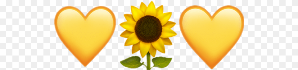 Sunflower Emoji Iphone Sunflower Emoji Iphone, Flower, Plant, Petal Png