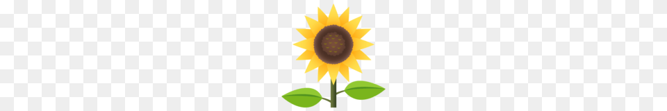 Sunflower Emoji On Emojione, Flower, Plant, Animal, Fish Free Transparent Png