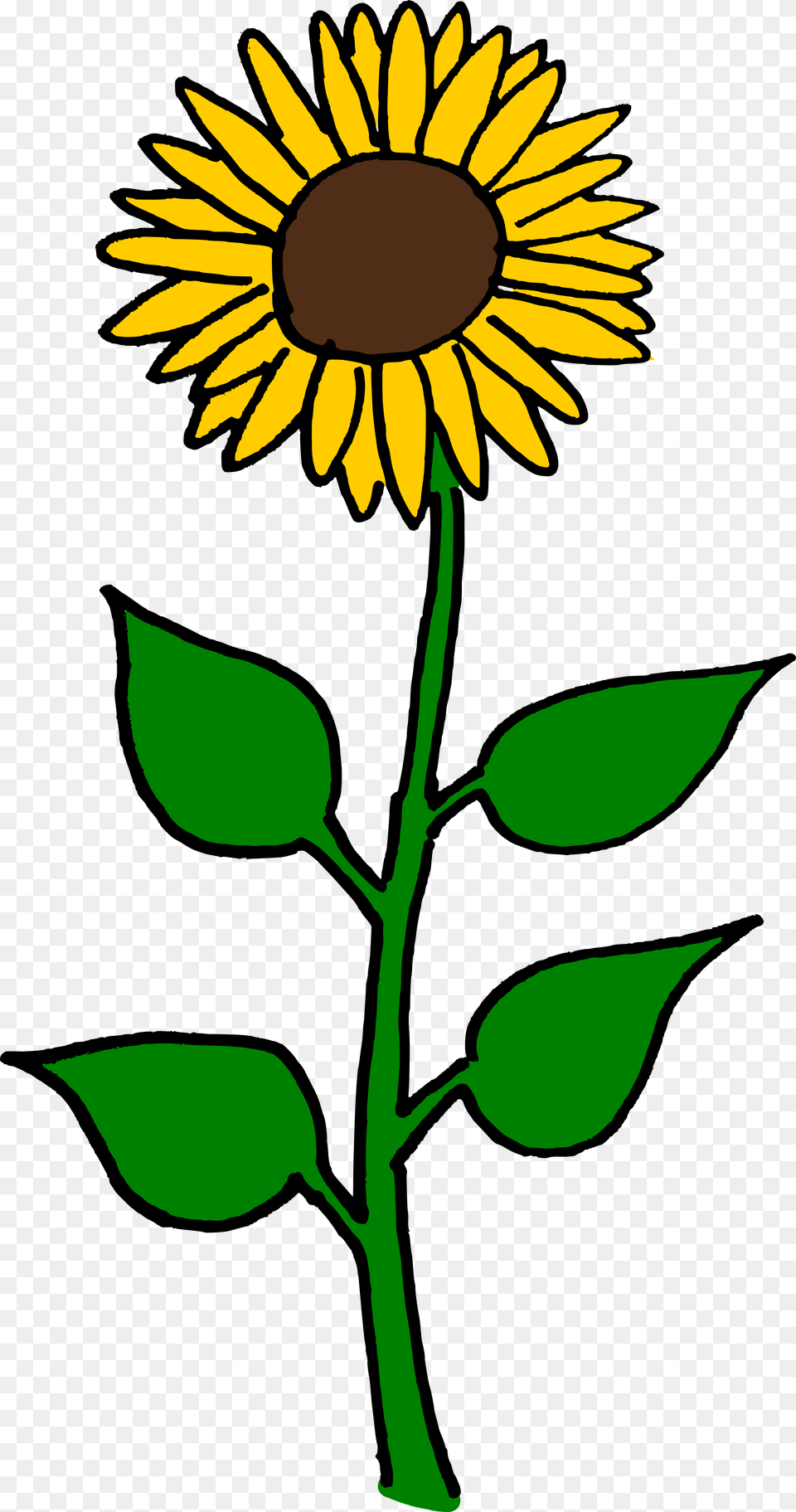 Sunflower Flower Clipart, Plant, Daisy, Leaf Png