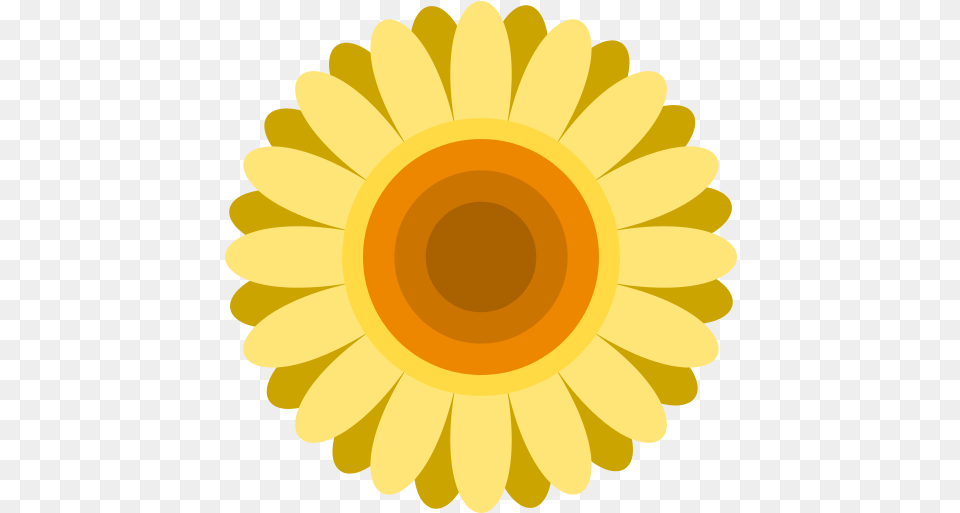 Sunflower Flower Icon 7 Repo Icons Sunflower, Daisy, Plant Free Transparent Png