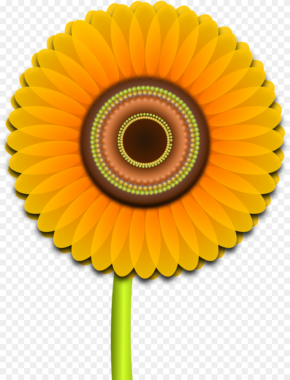 Sunflower Flower Nature Photo Vector Hoa Huong Duong, Daisy, Plant, Dahlia Png Image