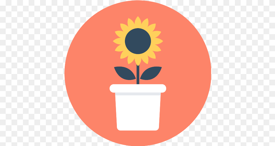 Sunflower Flower Vector Svg Icon Flower Circle Icon, Plant, Potted Plant, Leaf, Disk Free Transparent Png