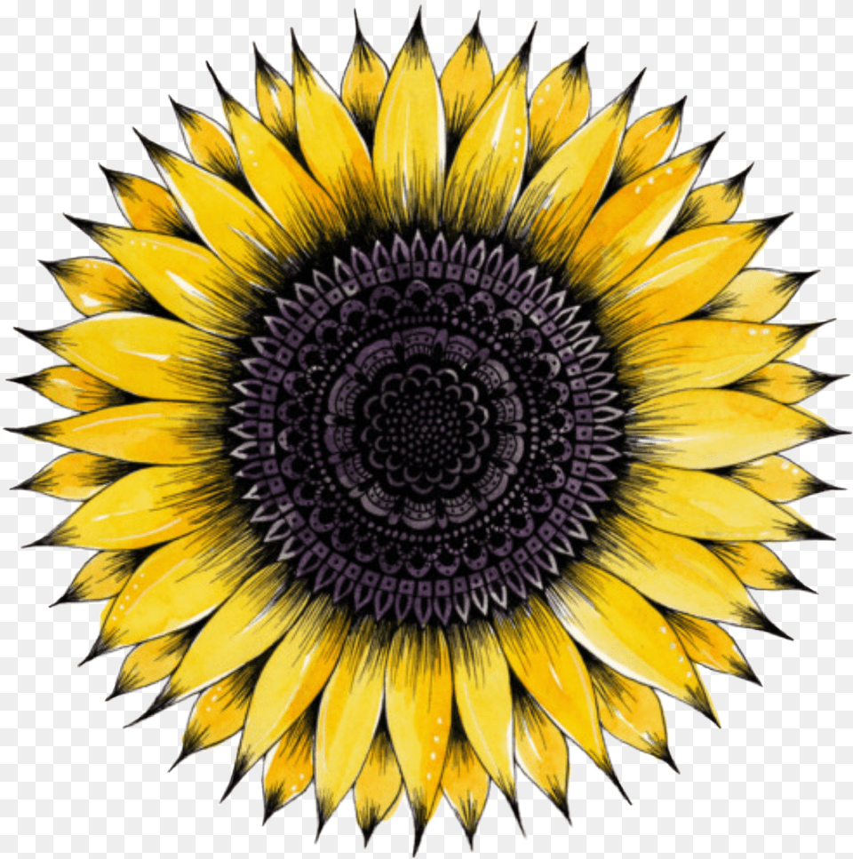 Sunflower Flowers Flower Floral Mandala 5 Minutes To 8, Plant Png Image