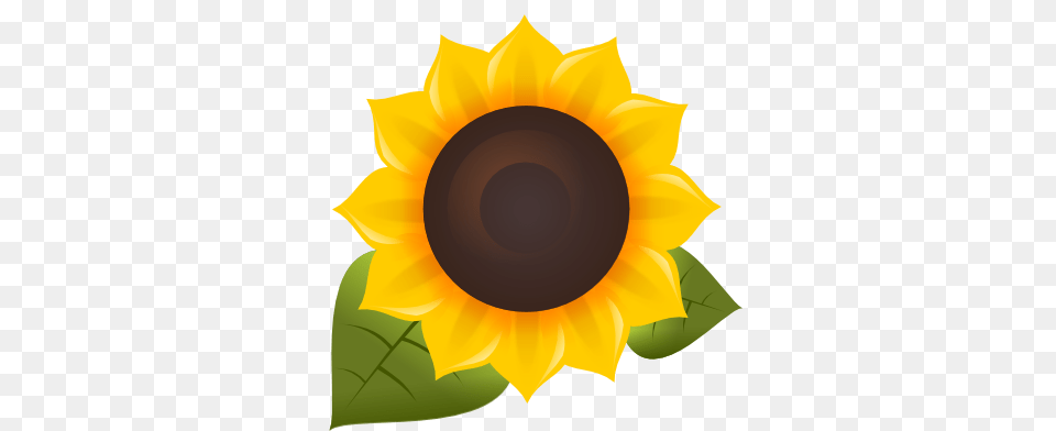 Sunflower Fm Logo, Flower, Plant Png