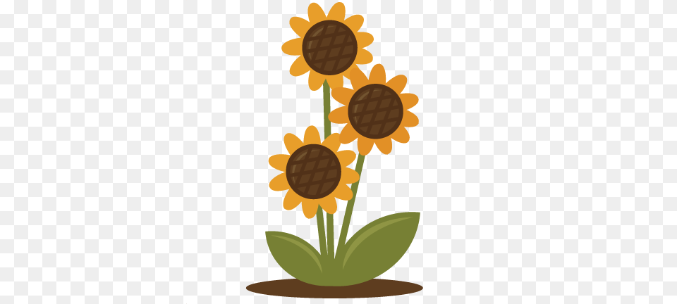 Sunflower For Scrapbooking Sunflower Svgs, Daisy, Flower, Plant, Ammunition Png