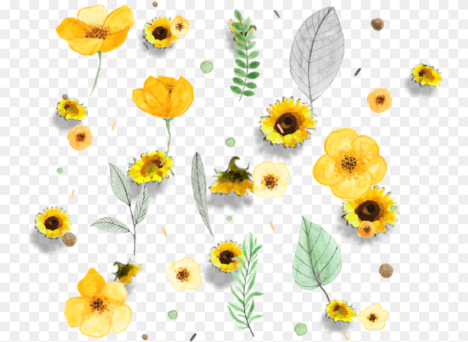 Sunflower Frame Yellow Flowers Watercolor, Anemone, Plant, Petal, Leaf Free Png Download
