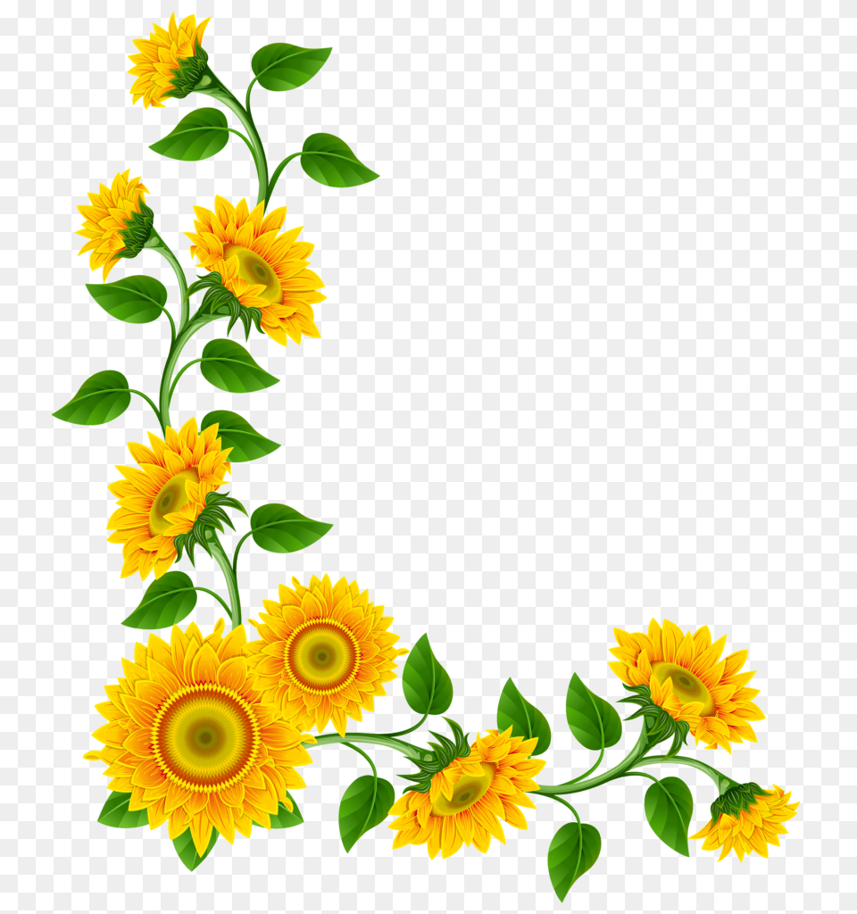 Sunflower Printable Clipart With Sunflower Clipart, Flower, Plant Free Png