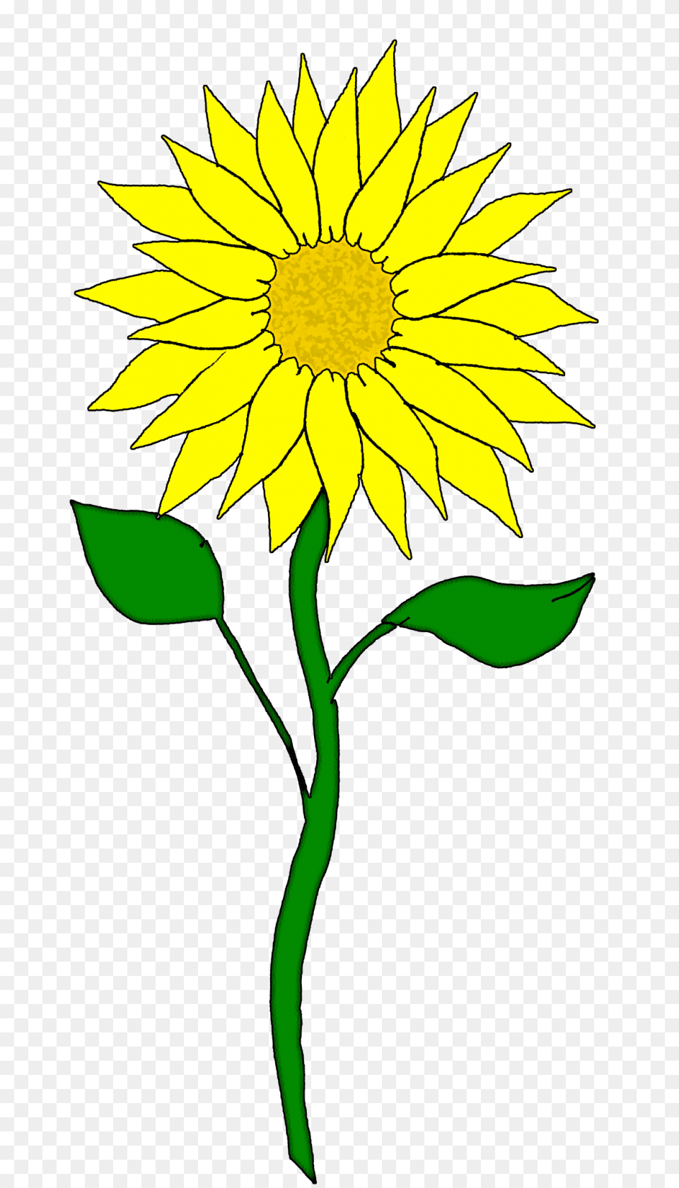 Sunflower Sunflower Clip Art Clipart Images, Daisy, Flower, Plant Free Transparent Png