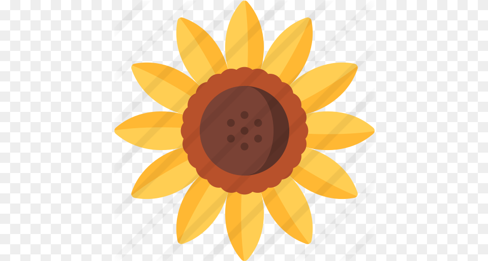 Sunflower Happy, Flower, Plant, Daisy, Animal Png