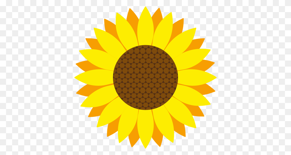 Sunflower Head Vector, Flower, Plant, Daisy Free Png