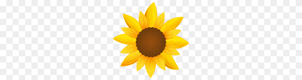 Sunflower Icon Agriculture Iconset Xaml Icon Studio, Flower, Plant Png