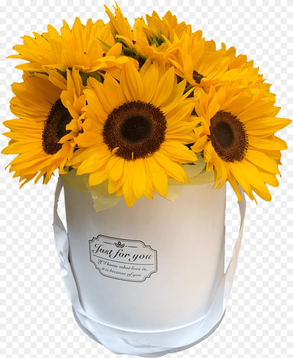 Sunflower Image Hd Real Sunflowers In A Box, Flower, Flower Arrangement, Flower Bouquet, Plant Free Transparent Png