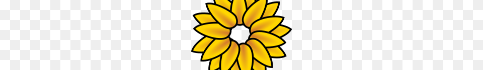 Sunflower Images Clip Art Sunflower Clip Art Resolution Graphics, Daisy, Flower, Plant, Petal Png