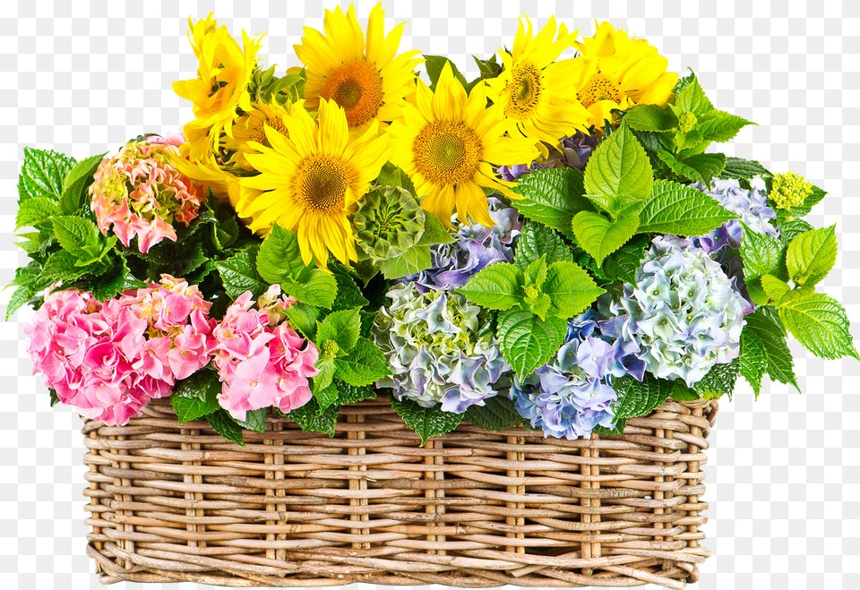 Sunflower Images Transparent Background Basket Of Flowers, Flower, Flower Arrangement, Flower Bouquet, Plant Free Png Download