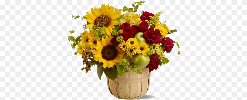 Sunflower Images Transparent Background Sunflower On Pot, Potted Plant, Flower, Flower Arrangement, Flower Bouquet Free Png Download