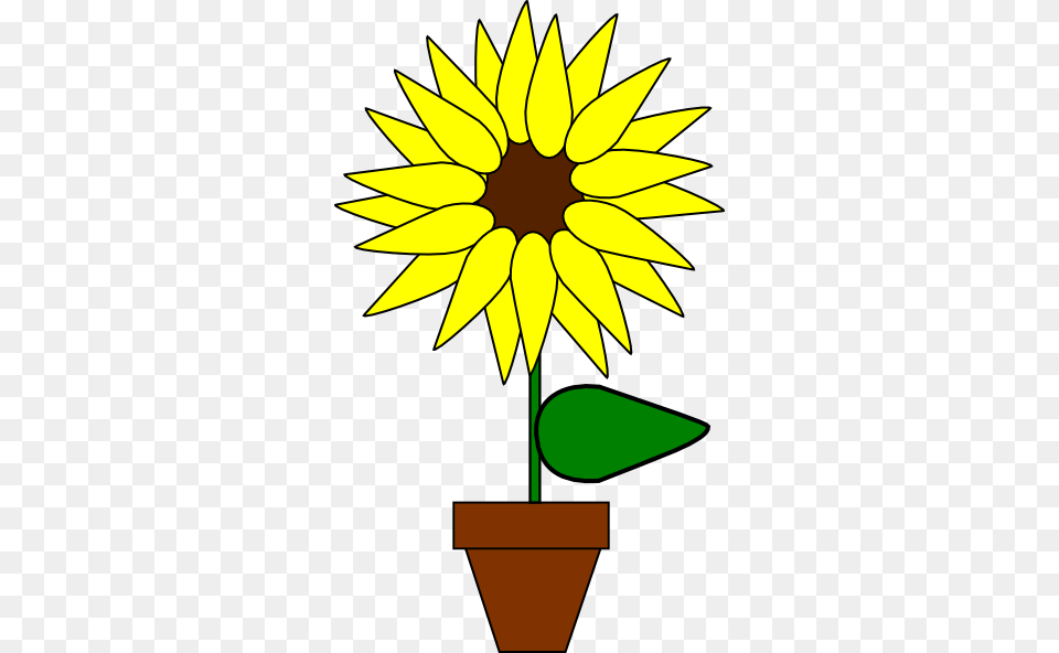 Sunflower In A Pot Clip Arts Download, Flower, Plant, Leaf Free Transparent Png