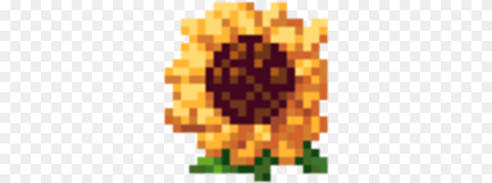 Sunflower Kynseed Wiki Fandom Honeybee, Chess, Flower, Game, Plant Free Png