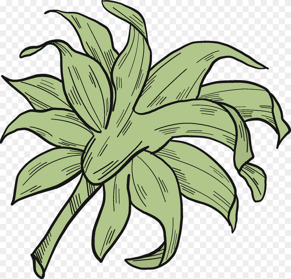 Sunflower Leaves Clipart, Fruit, Plant, Food, Produce Png Image