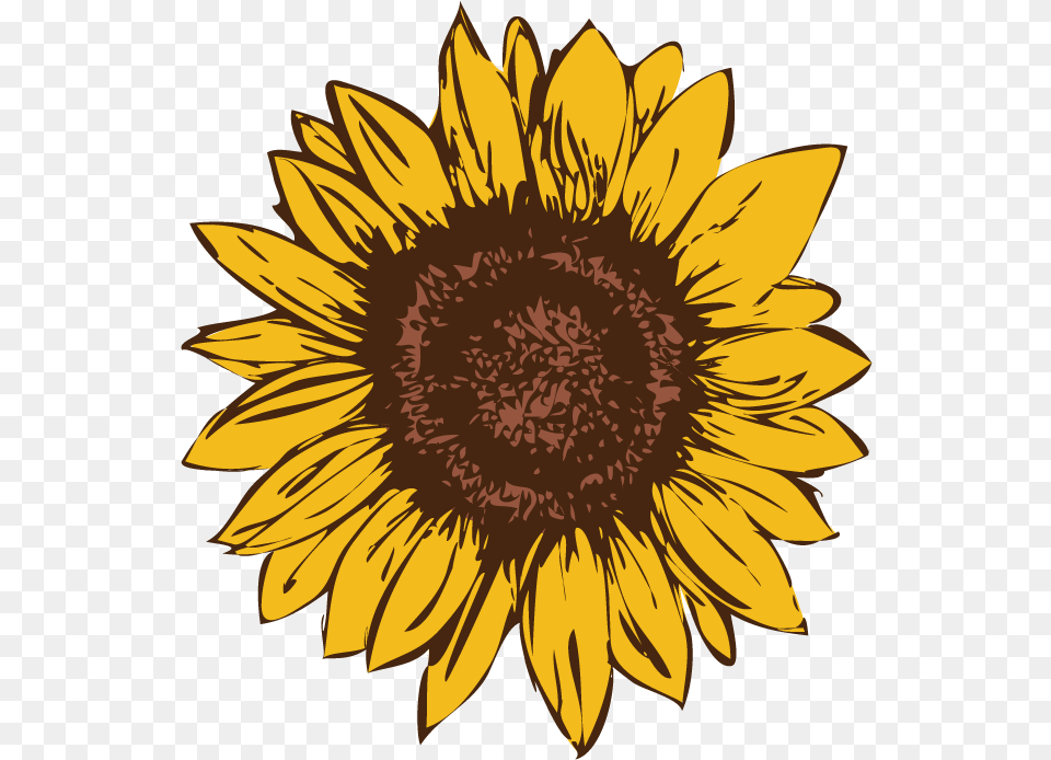 Sunflower Logo Drafts Stephanie Luke, Flower, Plant Free Transparent Png