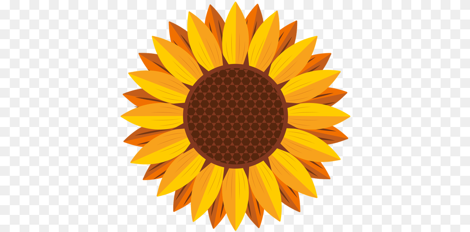Sunflower Logo Picture Sunflower Vector, Flower, Plant, Daisy Free Png Download