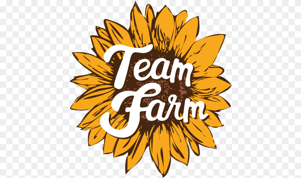 Sunflower Logo Revisions Stephanie Luke Sunflower, Flower, Plant Png Image