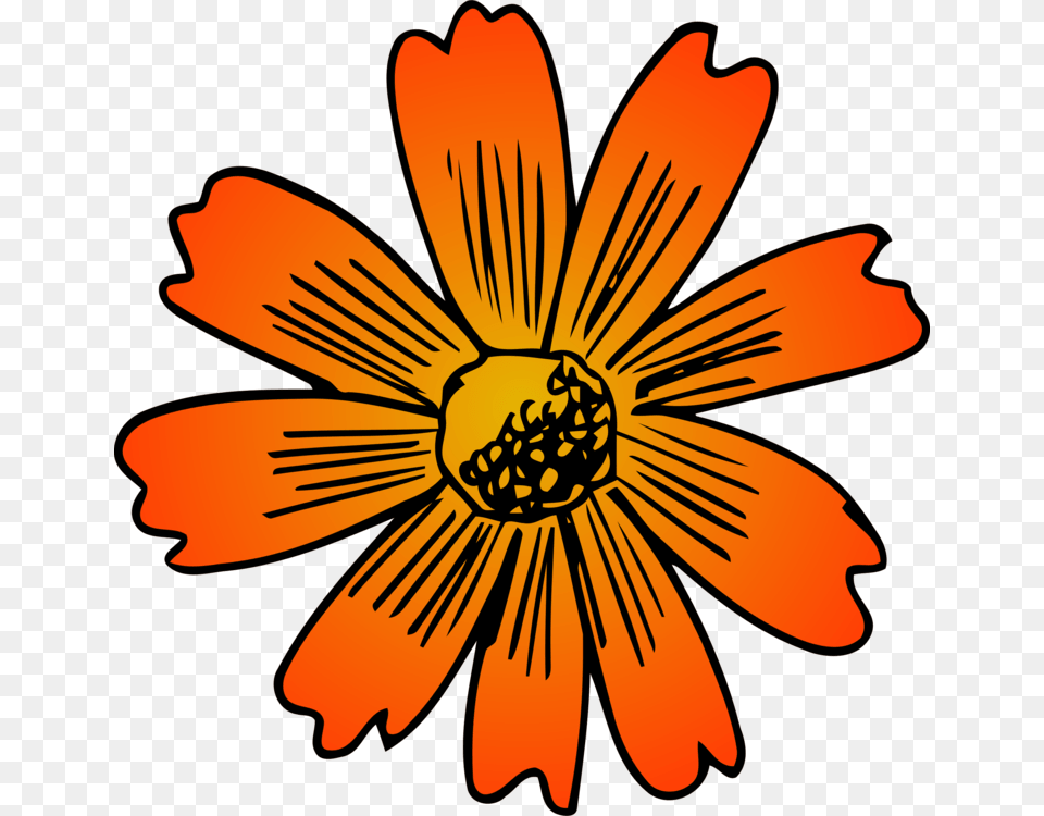 Sunflower M Floral Design Cut Flowers Rose, Anther, Daisy, Flower, Petal Free Transparent Png
