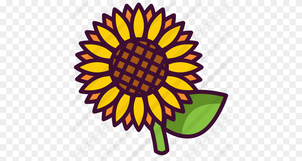 Sunflower Nature Icons Gymnastics Federation Of India, Dahlia, Flower, Plant, Dynamite Free Transparent Png
