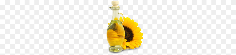 Sunflower Oil, Flower, Plant, Cooking Oil, Food Png