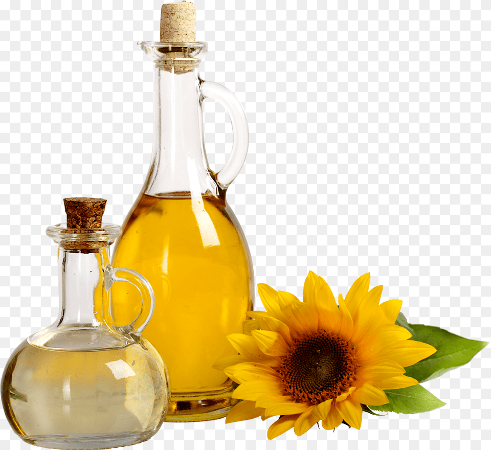 Sunflower Oil, Flower, Plant, Glass, Cooking Oil Png