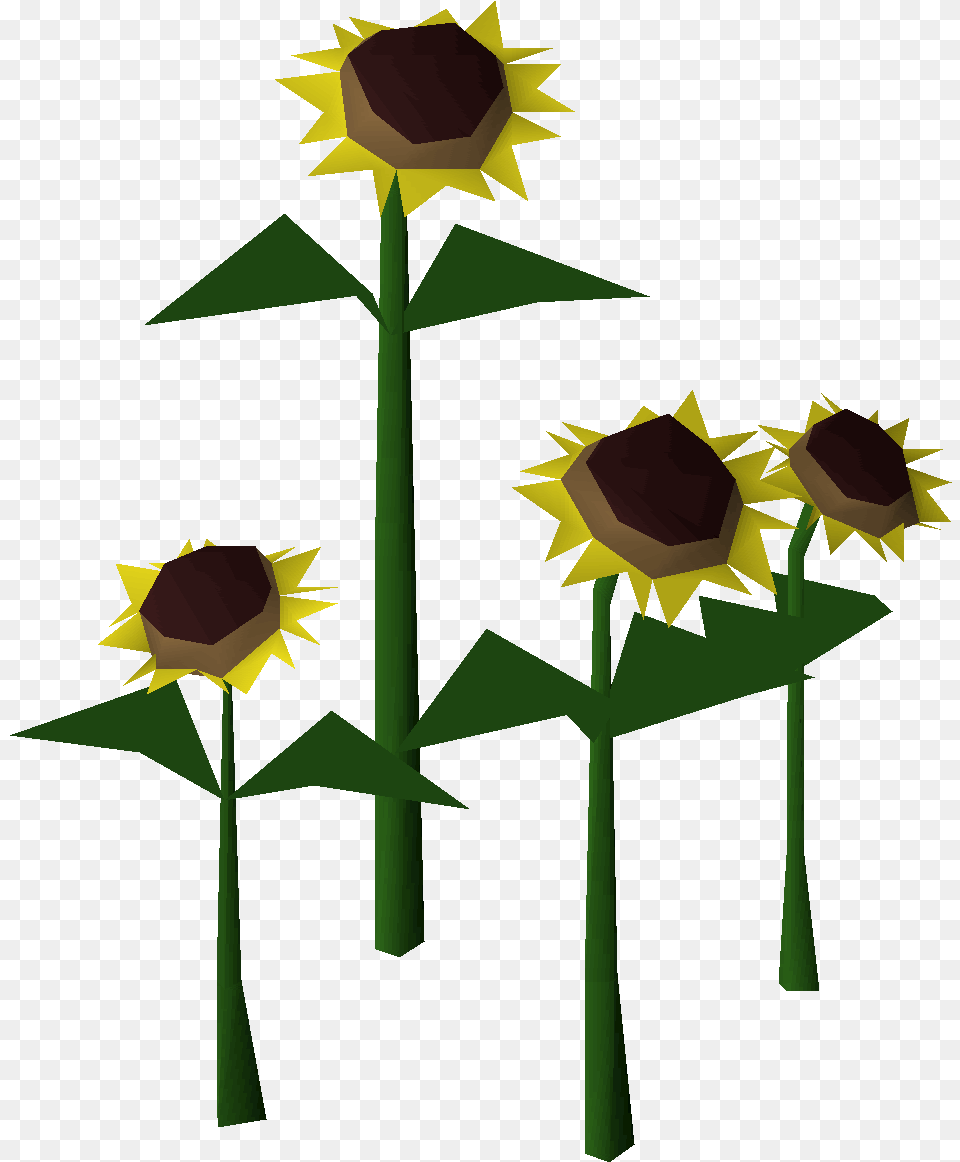 Sunflower Osrs Wiki Fresh, Flower, Plant, Cross, Symbol Png