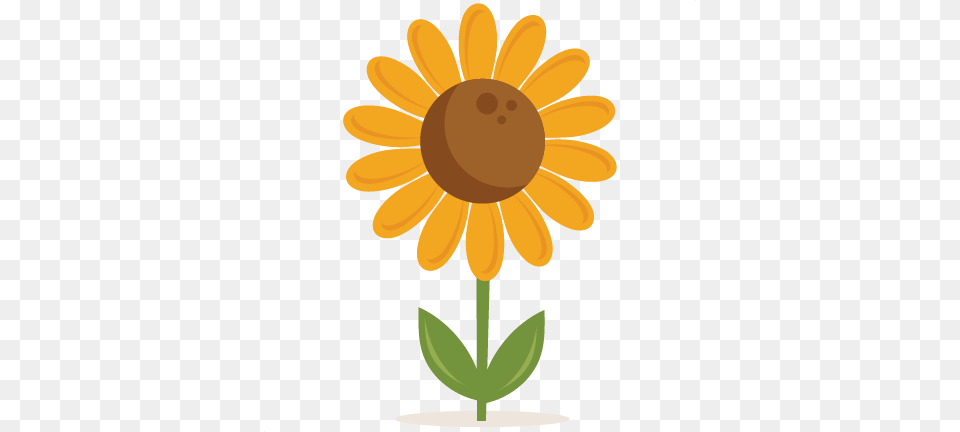 Sunflower Outline Clipart Free Clipart, Daisy, Flower, Plant, Petal Png