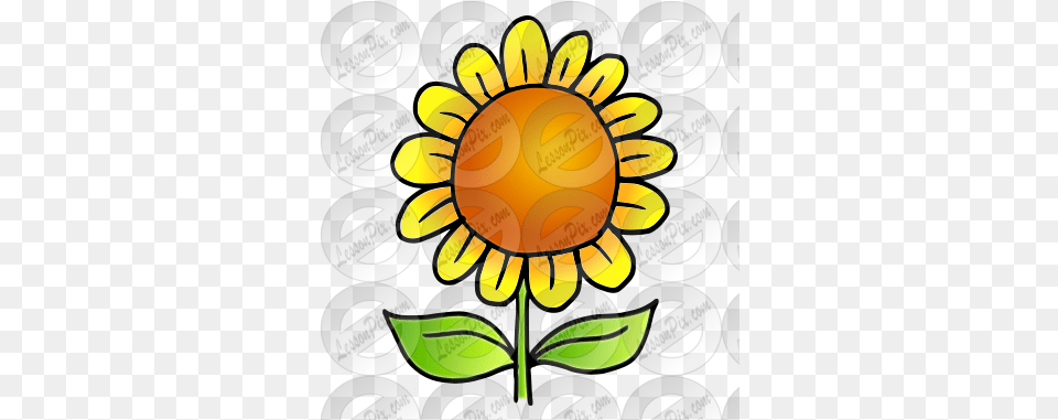 Sunflower Picture For Classroom Therapy Use Great Illustration, Flower, Plant, Can, Tin Free Transparent Png