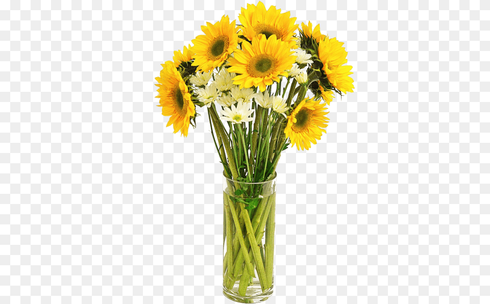 Sunflower Pot Transparent, Flower, Flower Arrangement, Flower Bouquet, Jar Free Png