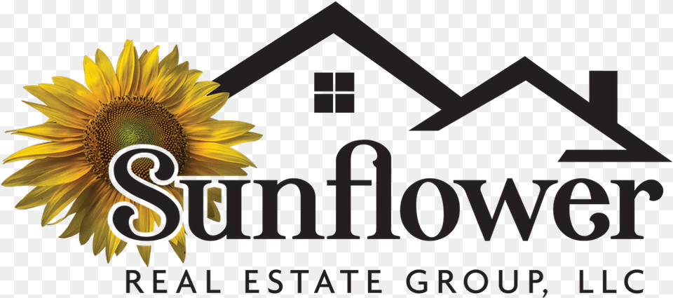 Sunflower Real Estate Group Llc Sunflower Real Estate Llc Morton Location, Flower, Plant Png Image