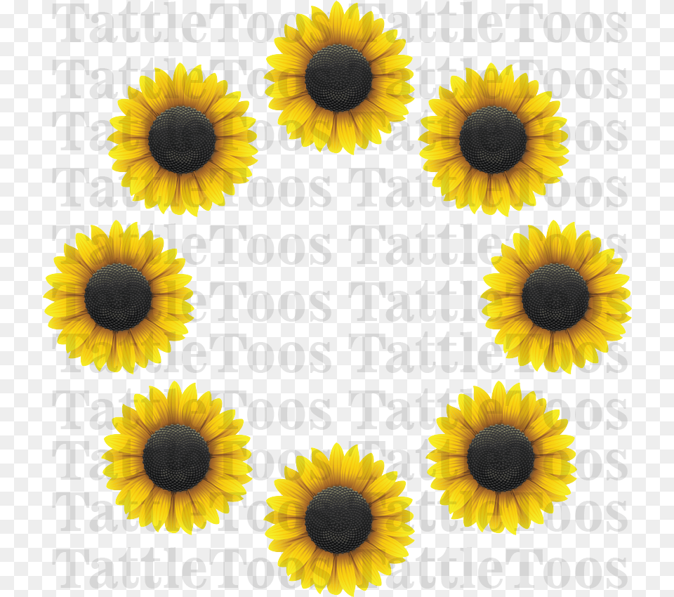 Sunflower Ring Digital Sunflower, Flower, Plant, Daisy, Petal Free Png Download