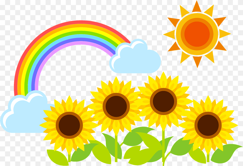 Sunflower Row Under The Sun And A Rainbow Clipart, Flower, Plant, Outdoors, Nature Png