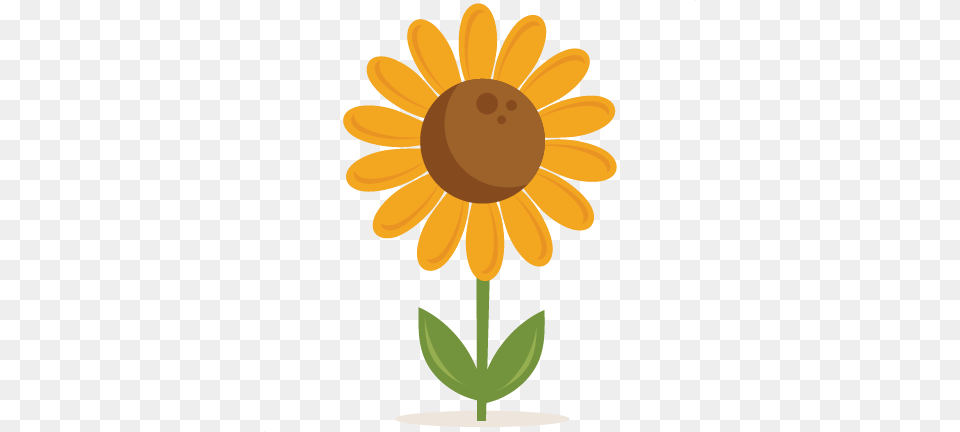 Sunflower Scrapbook Cute Clipart For Silhouette, Daisy, Flower, Plant, Petal Free Png Download