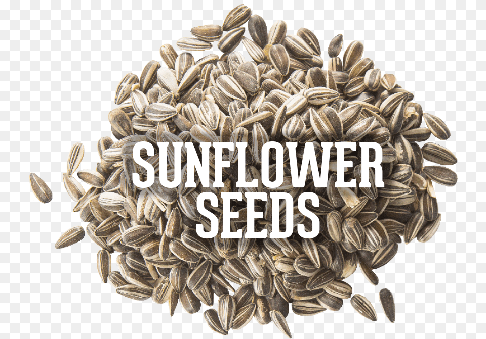 Sunflower Seed, Plant, Food, Produce, Grain Png Image