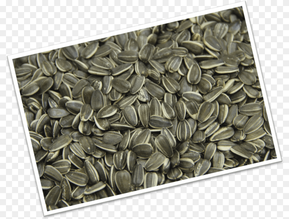 Sunflower Seed, Food, Grain, Produce Free Png