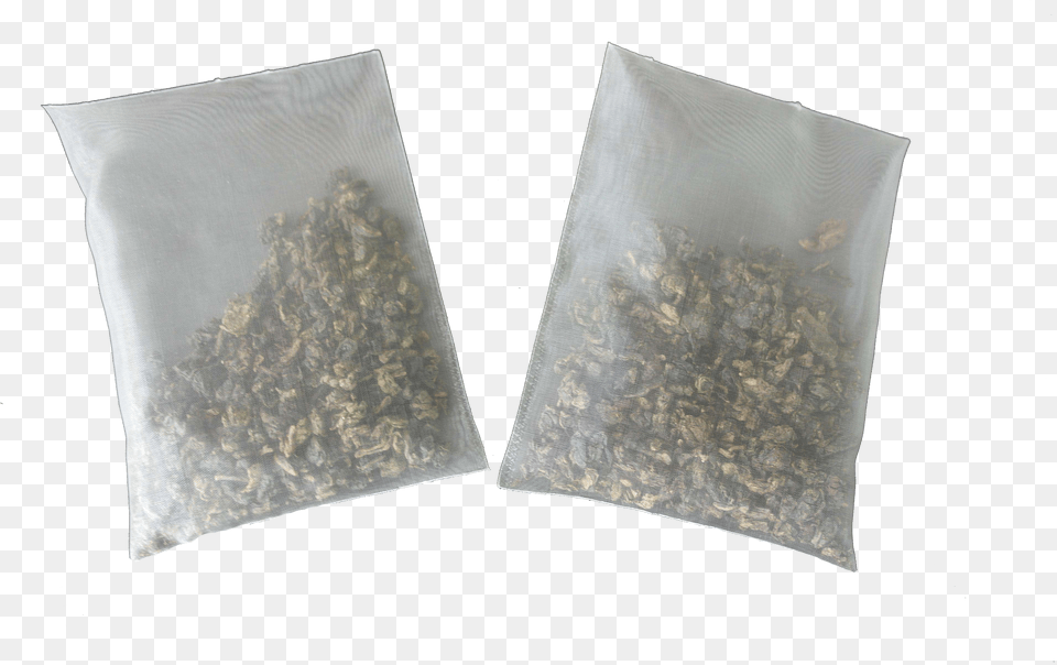 Sunflower Seed Free Transparent Png