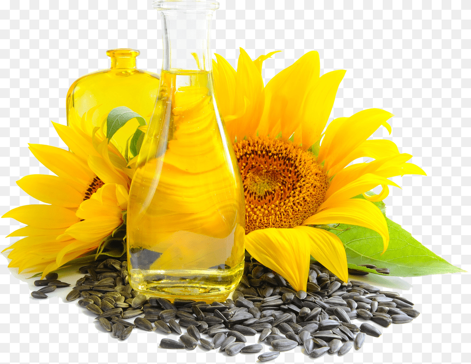Sunflower Seed And Oil Photo Sunflower Oil Free Png Download