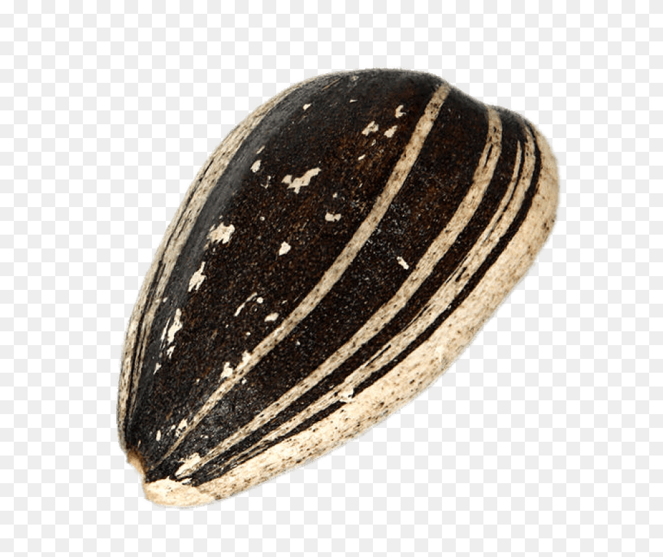 Sunflower Seed In Shell Stickpng Sunflower Seed, Food, Produce, Grain Free Transparent Png