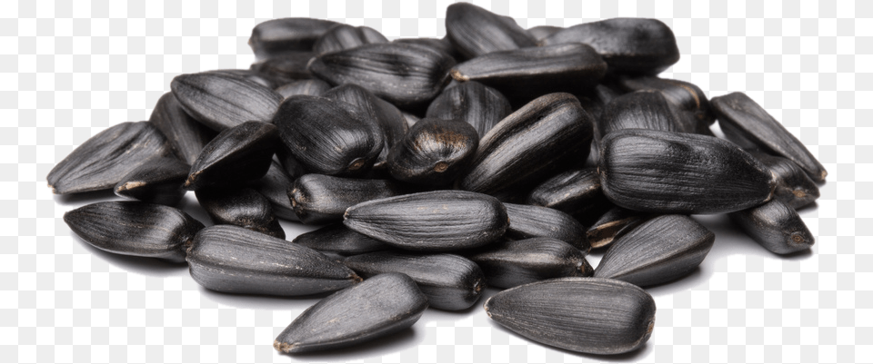 Sunflower Seed Sun Flower Seeds, Food, Produce, Grain Free Png