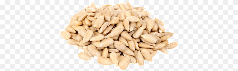 Sunflower Seed Sunflower Seeds During Pregnancy, Food, Produce, Nut, Plant Free Transparent Png