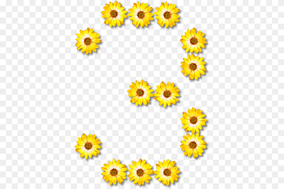Sunflower Seedchrysanthsflower S Made Of Sunflowers, Daisy, Flower, Petal, Plant Free Transparent Png