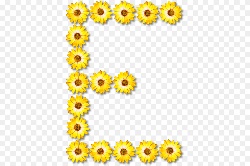 Sunflower Seedchrysanthsplant Clipart Royalty Yellow Flowery C Letter, Daisy, Flower, Petal, Plant Png Image