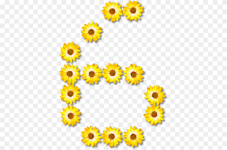 Sunflower Seedchrysanthsplant Floral G Clip Art, Daisy, Flower, Petal, Plant Free Png Download