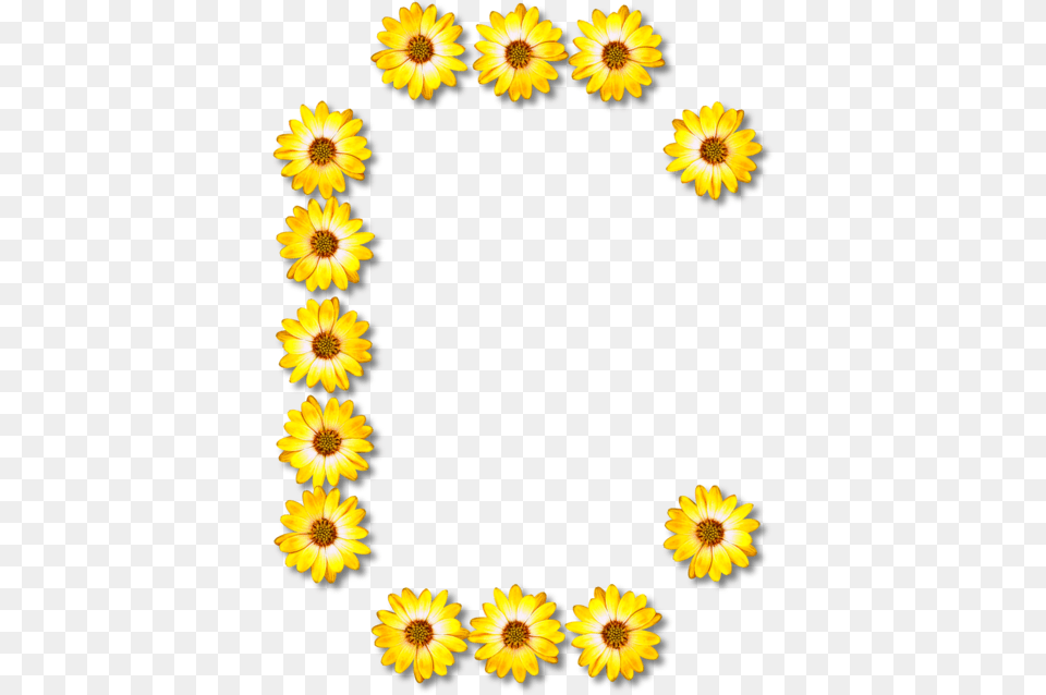 Sunflower Seedflowersunflower Clipart Royalty Free Huruf G Flower, Daisy, Petal, Plant, Chandelier Png